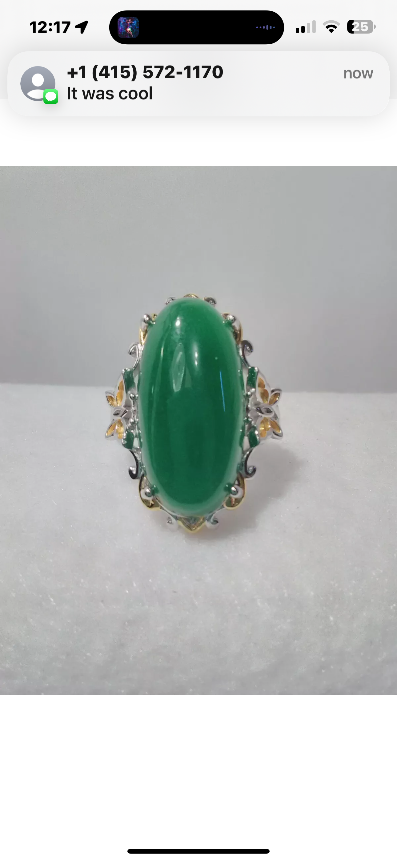 VINTAGE Jadeite Green Jade Ring Yellow Gold Vermeil Over Sterling Silver Size 5 TGW 12.65 ct - JazzyJewelbyAmina 